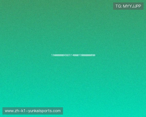 13万元买辆二手起亚K9，2014年上牌的13款车型，车况优秀8成新