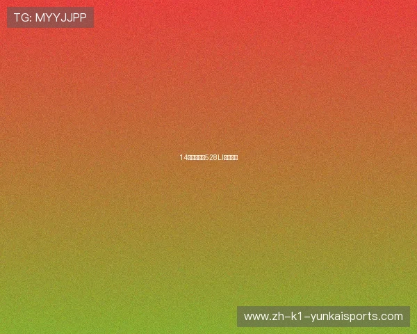 14款的宝马的528LI版本测评