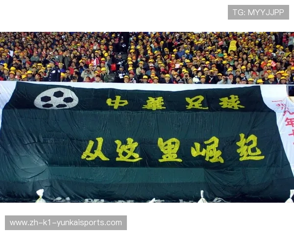 02年国足出线因素有(2002年国足出线)sports