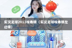 实况足球2011埃弗顿（实况足球埃弗顿左边锋）