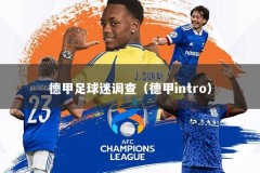 德甲足球迷调查（德甲intro）