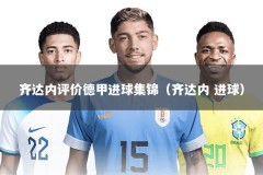 齐达内评价德甲进球集锦（齐达内 进球）