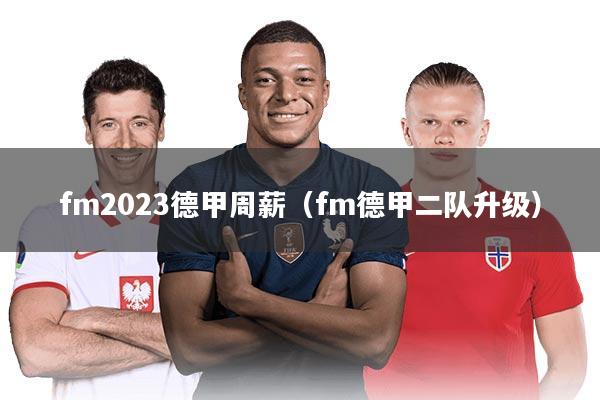 fm2023德甲周薪(fm德甲二队升级)