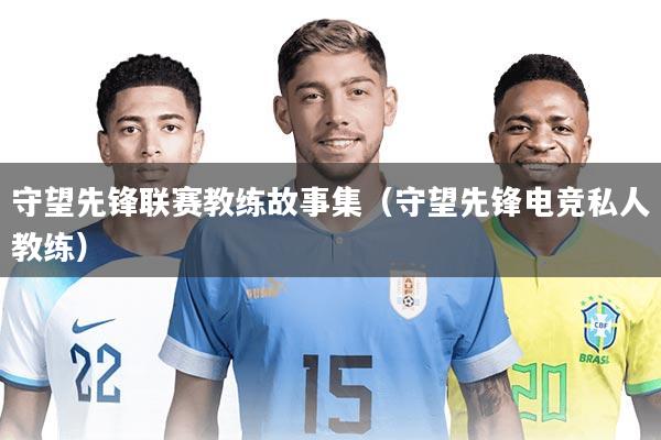 守望先锋联赛教练故事集(守望先锋电竞私人教练)